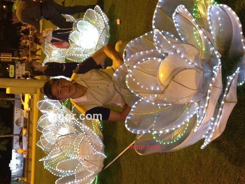 寂寞先生2014的第1张照片