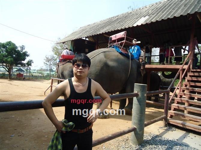 拖拉机的三套车的第3张照片