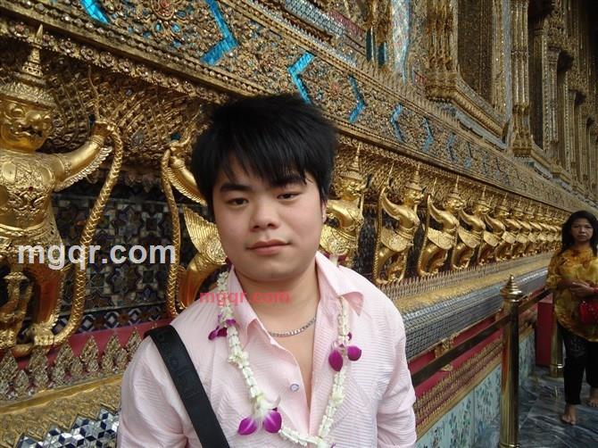 拖拉机的三套车的第4张照片