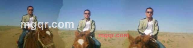 龙行天下456789的第1张照片