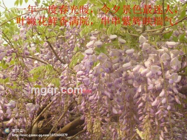 墨海之韵的第2张照片