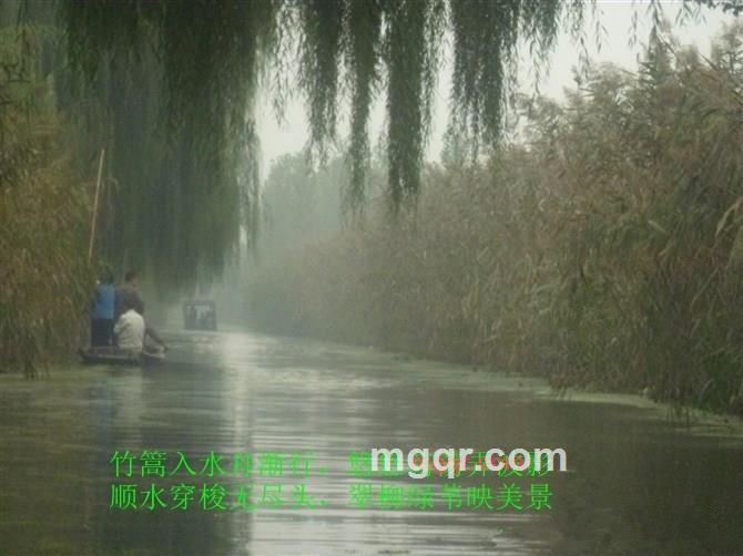 墨海之韵的第3张照片