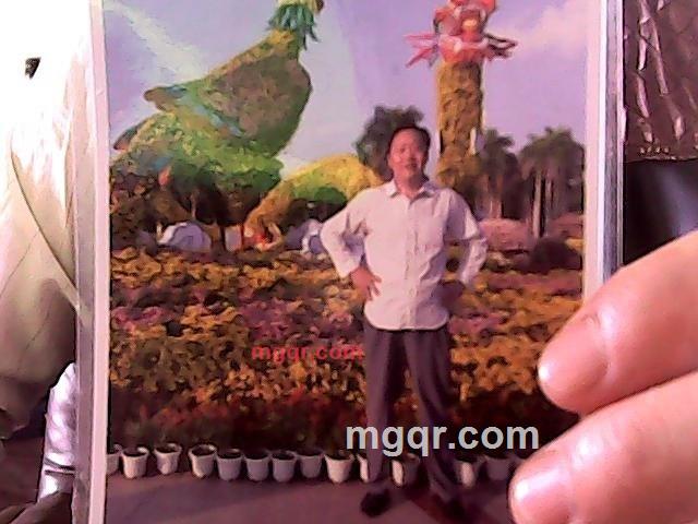 阿平阿平的第3张照片