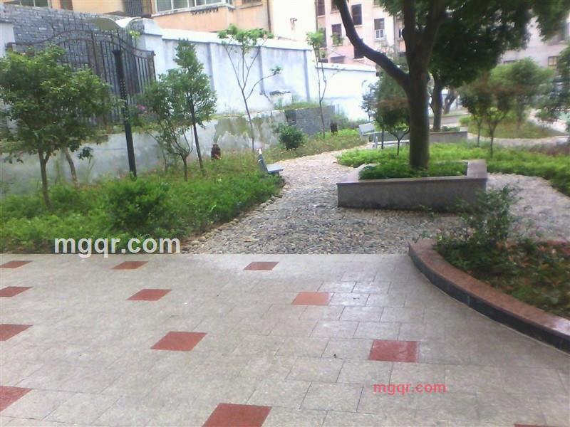 小小的第3张照片