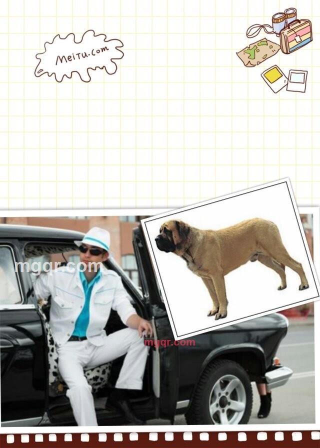 周未要狂欢的第1张照片