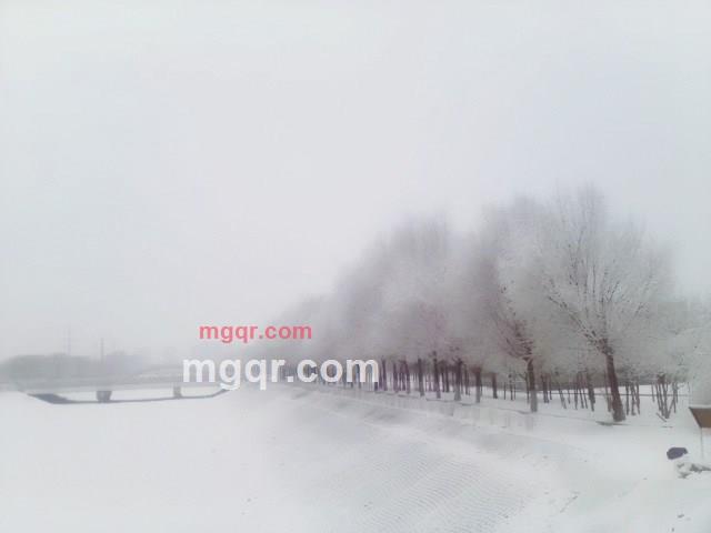 暗夜无边的第2张照片