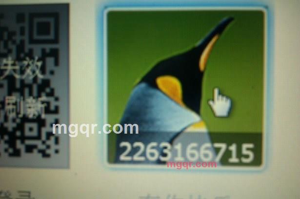 免费+情人的第1张照片