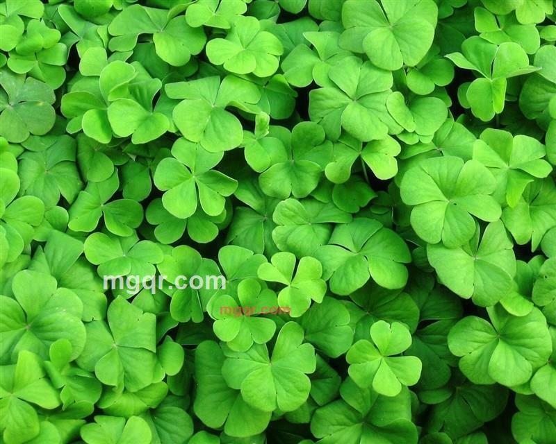 天天快乐激情的第1张照片