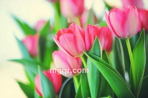 依依的第1张照片