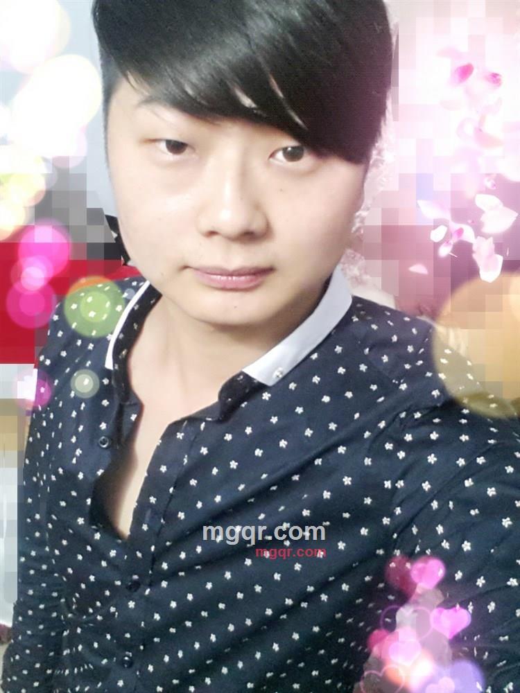 白鸟.的第1张照片