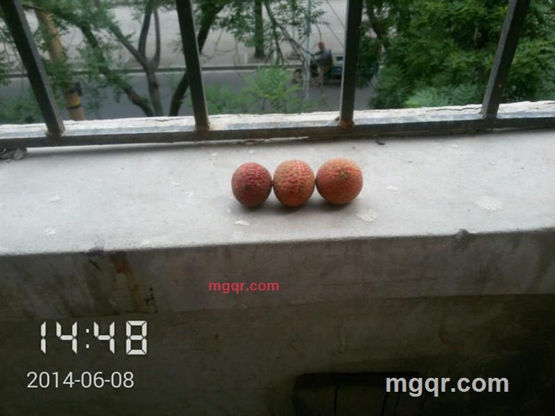 上世的第1张照片