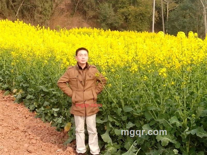 希望你的陪伴的第3张照片