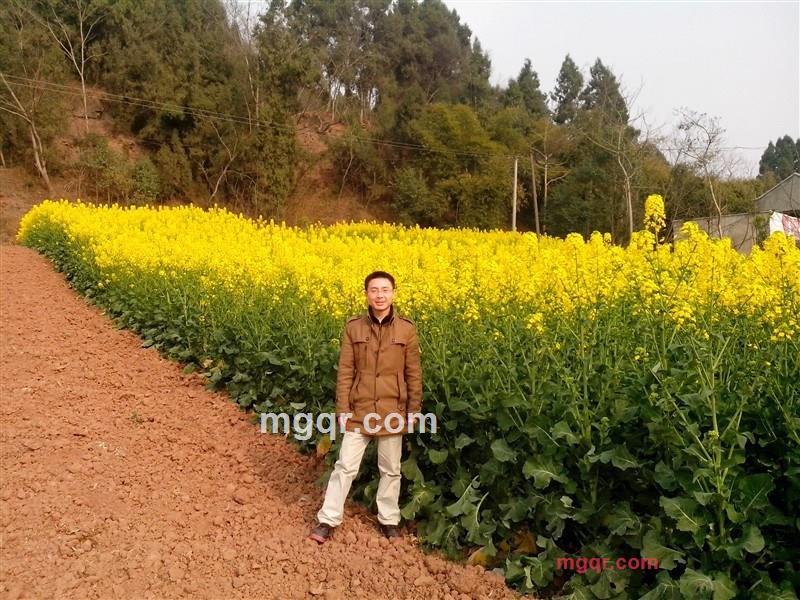 希望你的陪伴的第1张照片