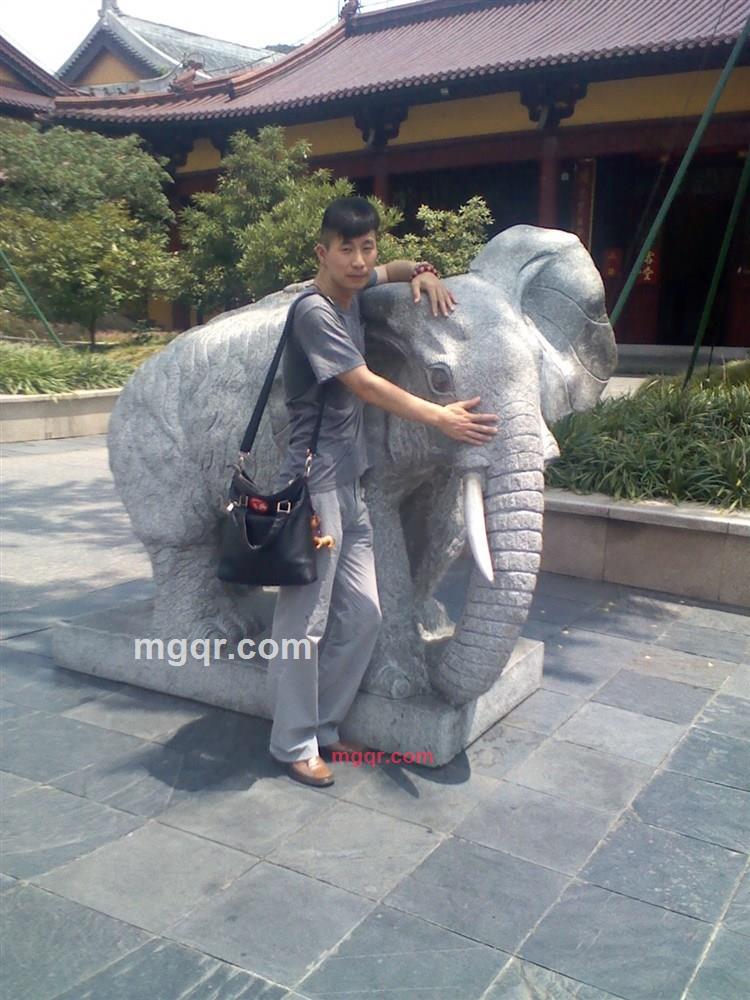 白玉老虎的第2张照片