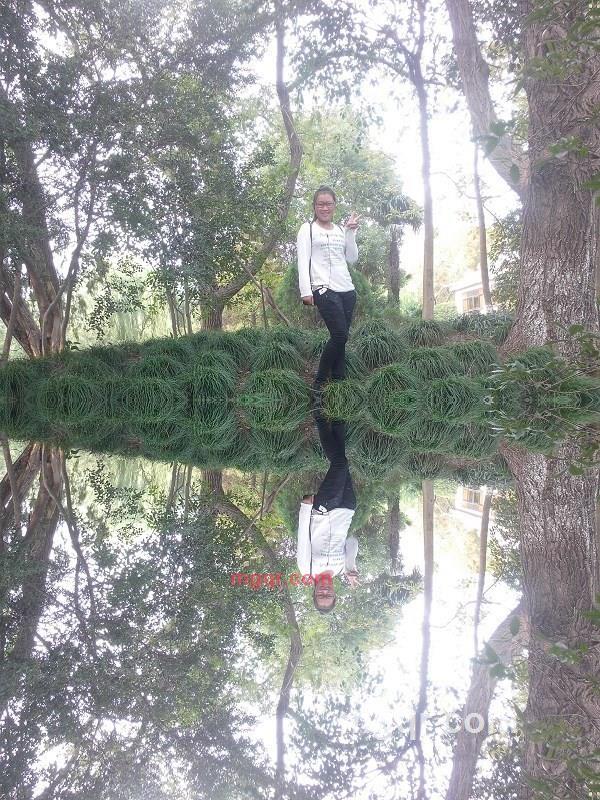 药材推销经理的第1张照片