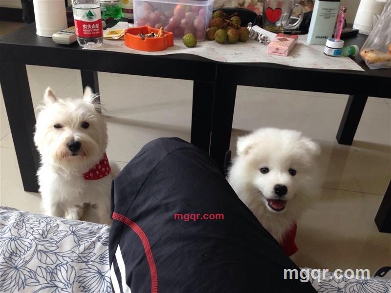 半夏LOVE的第1张照片