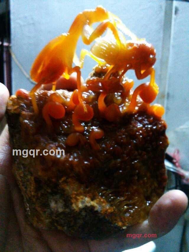 头发乱了412的第11张照片