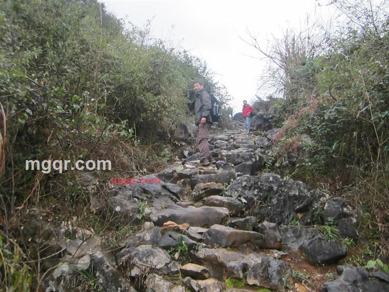 忐忑3的第1张照片