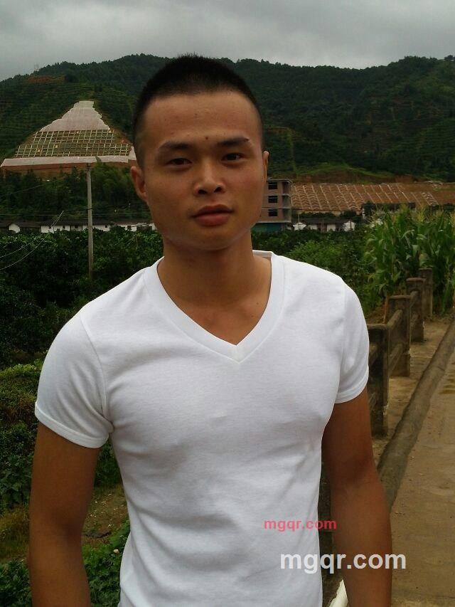 风一样自由的第4张照片