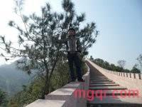 田亮的第2张照片