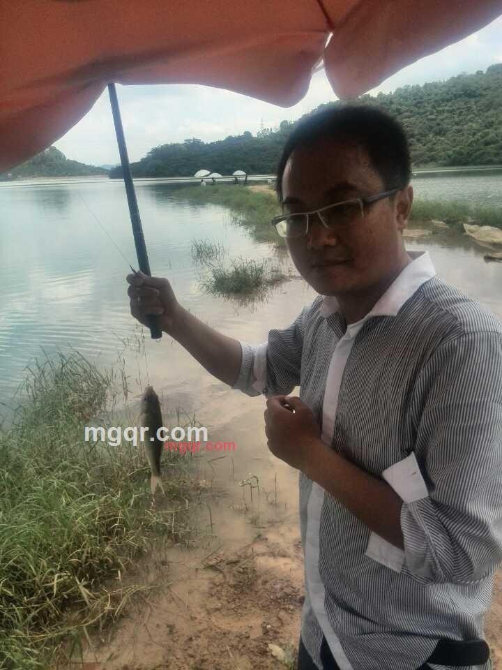 小飞12的第2张照片