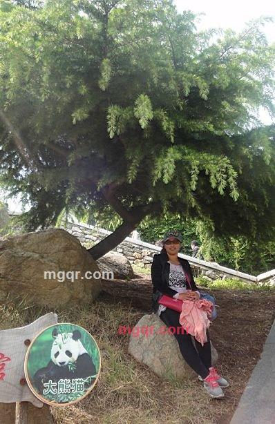 璀璨夺目的第2张照片