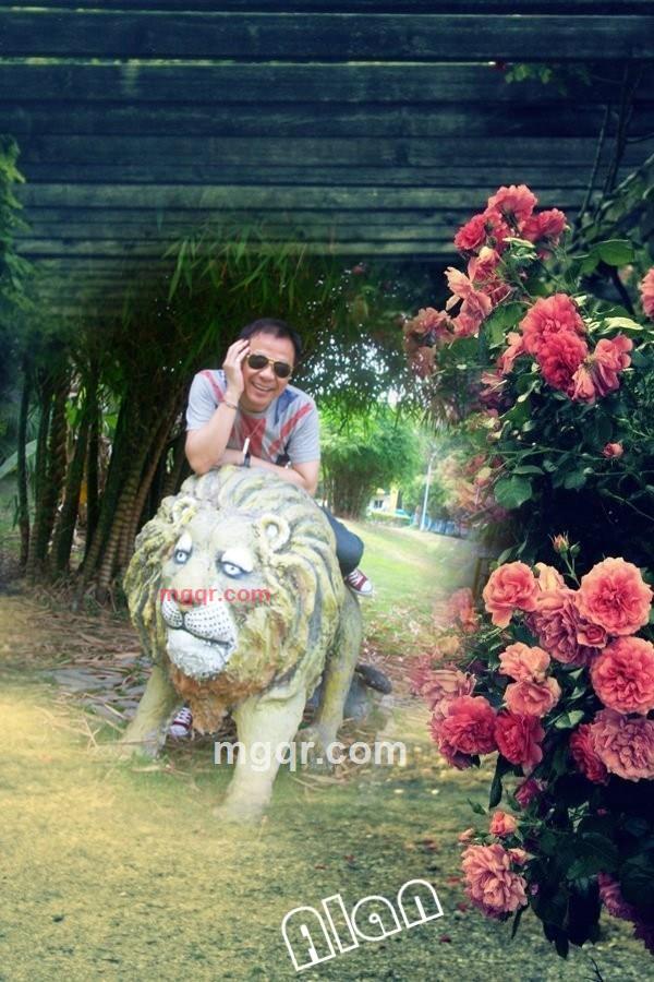 Alan小哥的第20张照片