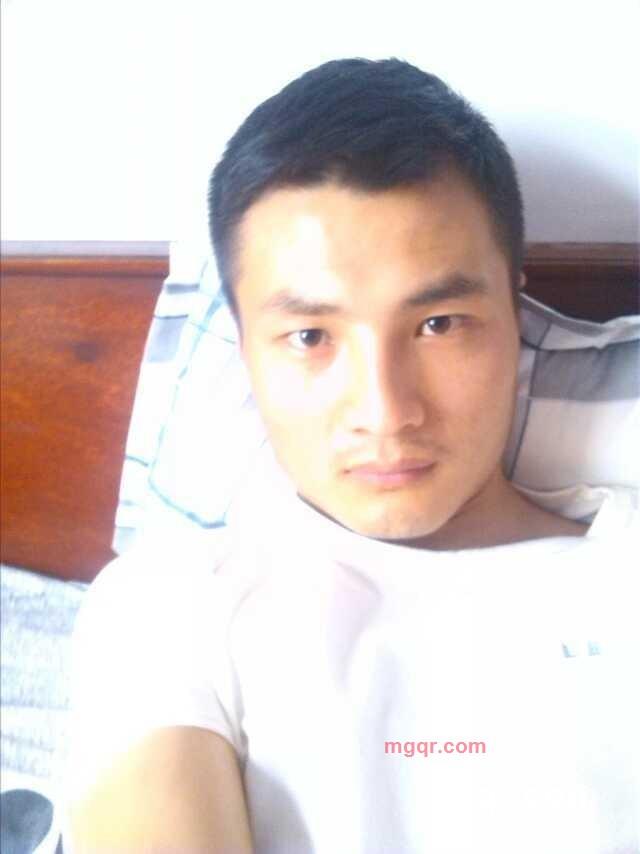 笨象的第3张照片