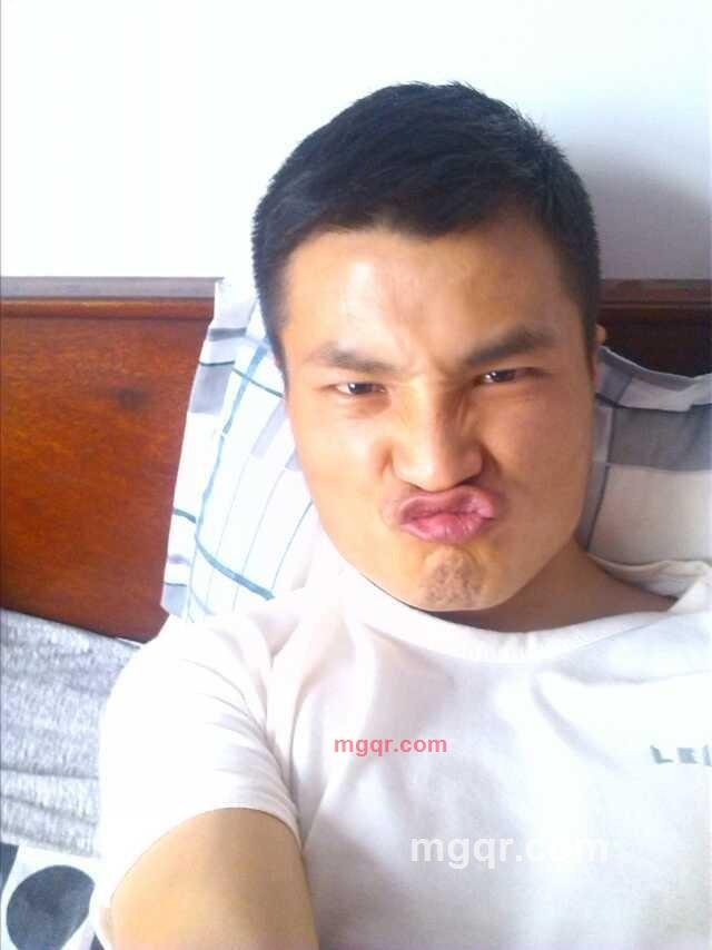 笨象的第2张照片