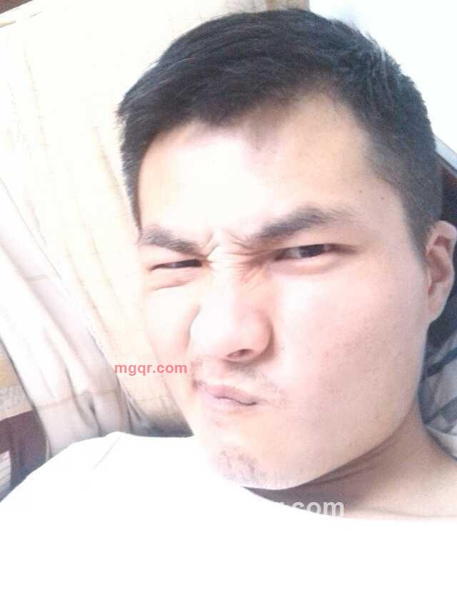 笨象的第1张照片