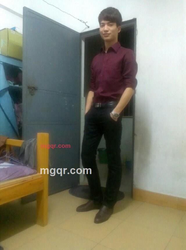 狐狸的第2张照片