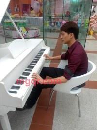 狐狸的第1张照片