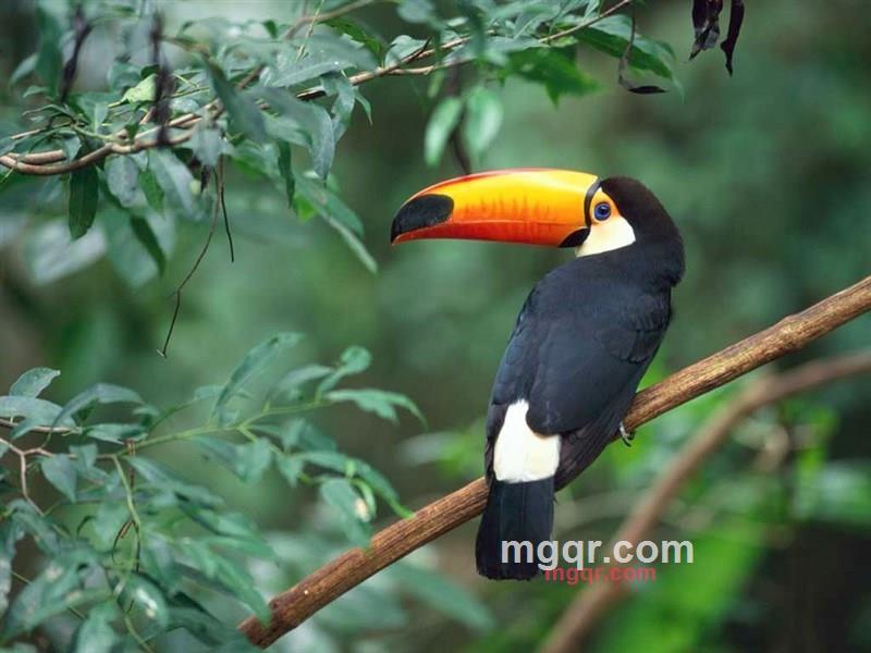 蠍子男人的第1张照片