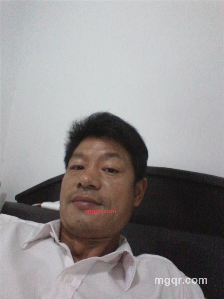 放牛的第1张照片