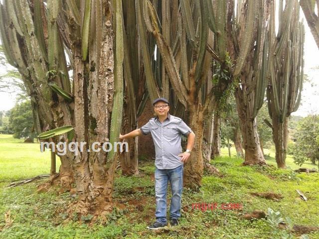 右手缠左手的第2张照片