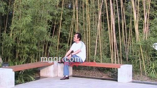 觅圆梦之人的第1张照片