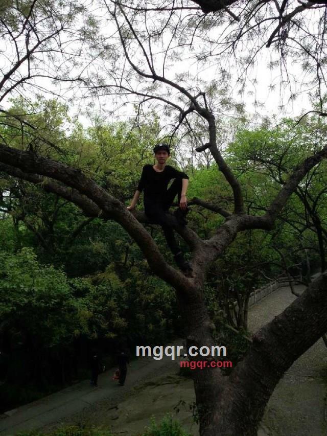 冷诺Ln的第1张照片