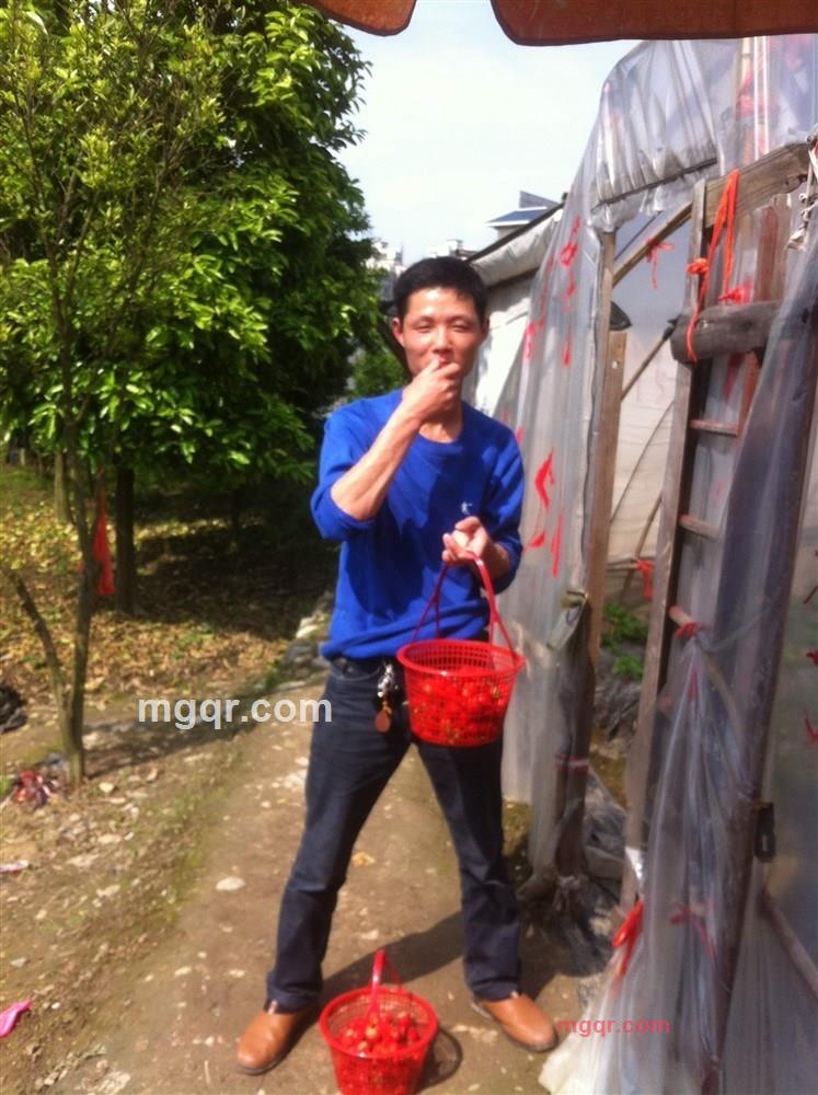 一路有你风琴小刚的第1张照片