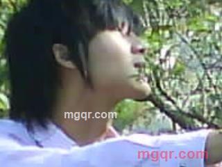 帕尔休斯的第1张照片