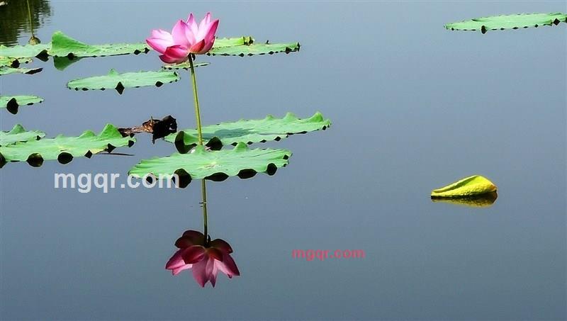 cssun的第1张照片