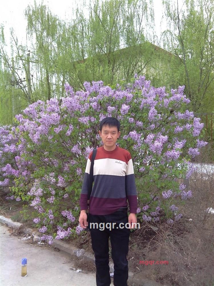 因你而在的第2张照片