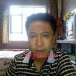 我是海鸥的第1张照片