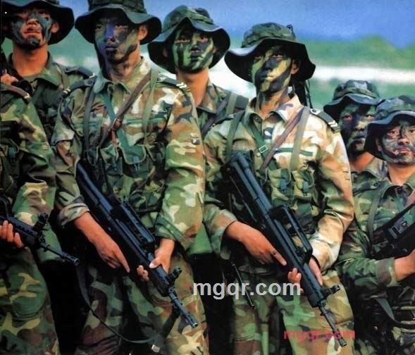 我的关注你的期待的第1张照片