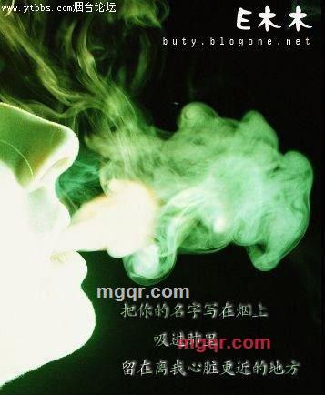 whp88888的第5张照片