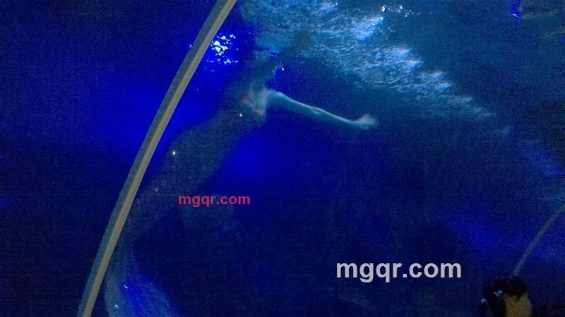 小墨鱼儿的第1张照片