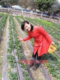 情儿.的第3张照片