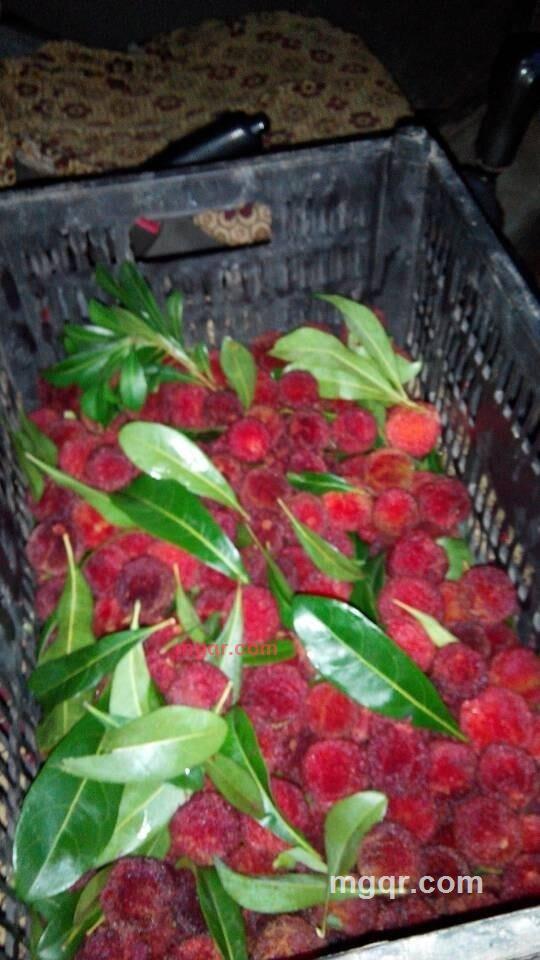 活着就是等死哦的第4张照片