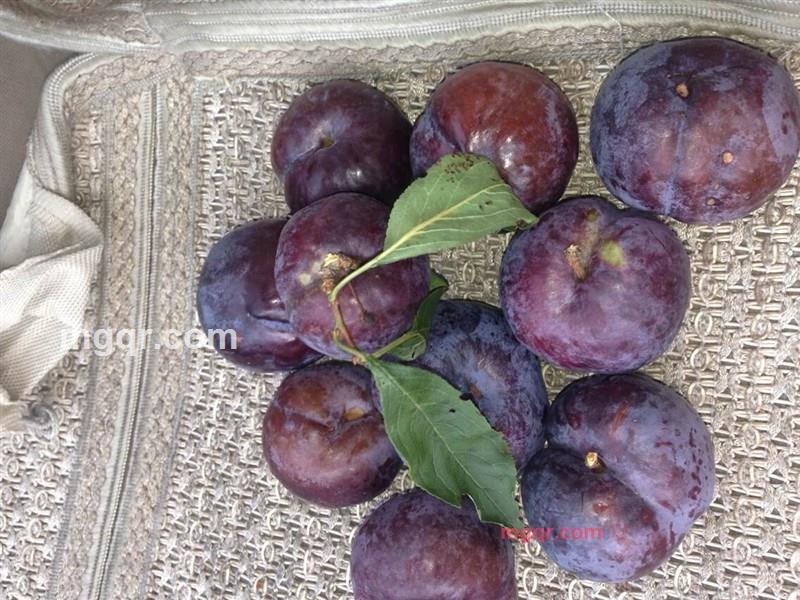 活着就是等死哦的第3张照片