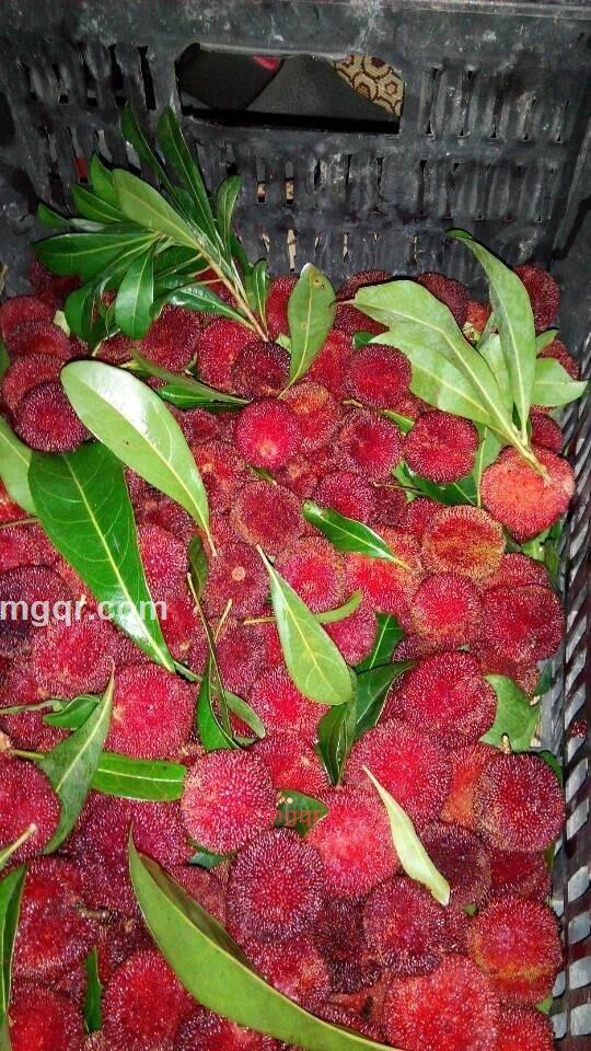 活着就是等死哦的第5张照片