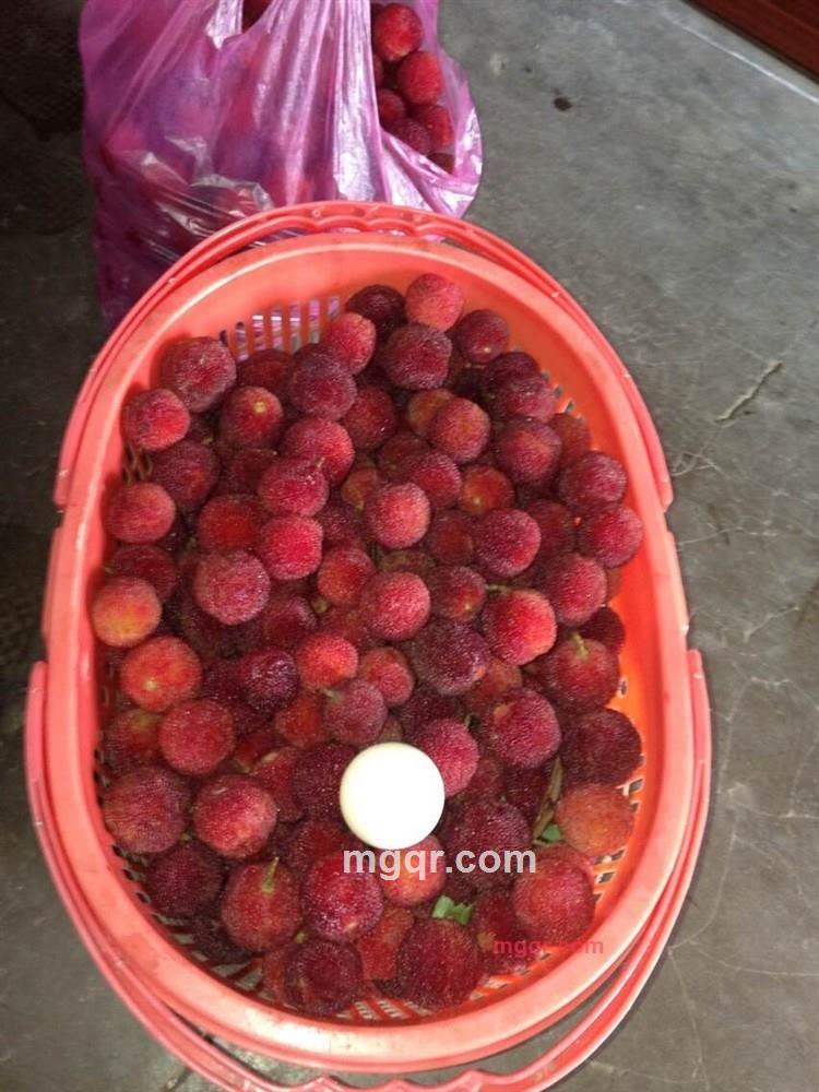 活着就是等死哦的第2张照片